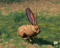 Thumbnail for version as of 22:02, 28 June 2025